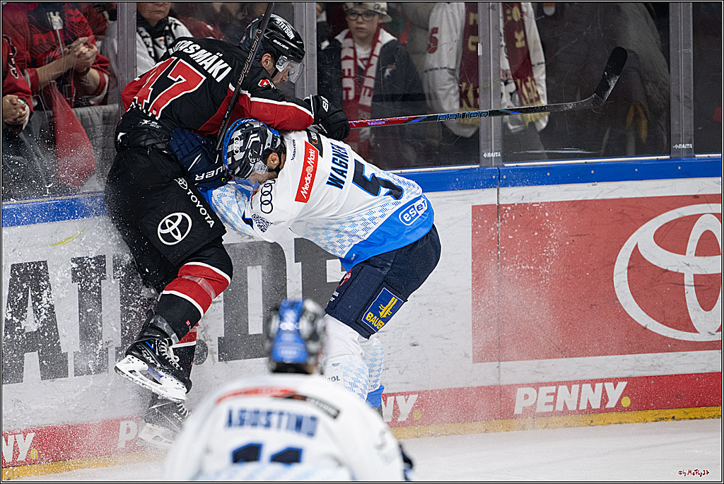 PENNY DEL 1; Kölner Haie - ERC Ingolstadt; Köln, 22.11.2024