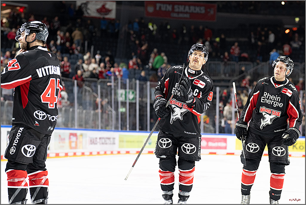 PENNY DEL 1; Kölner Haie - ERC Ingolstadt; Köln, 22.11.2024