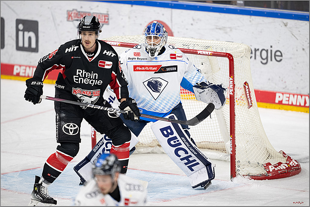 PENNY DEL 1; Kölner Haie - ERC Ingolstadt; Köln, 22.11.2024