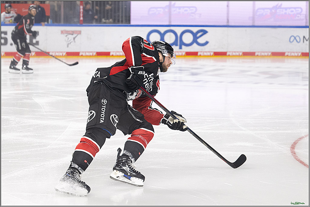 PENNY DEL; Koelner Haie-ERC Ingolstadt; Koeln, 22.11.2024