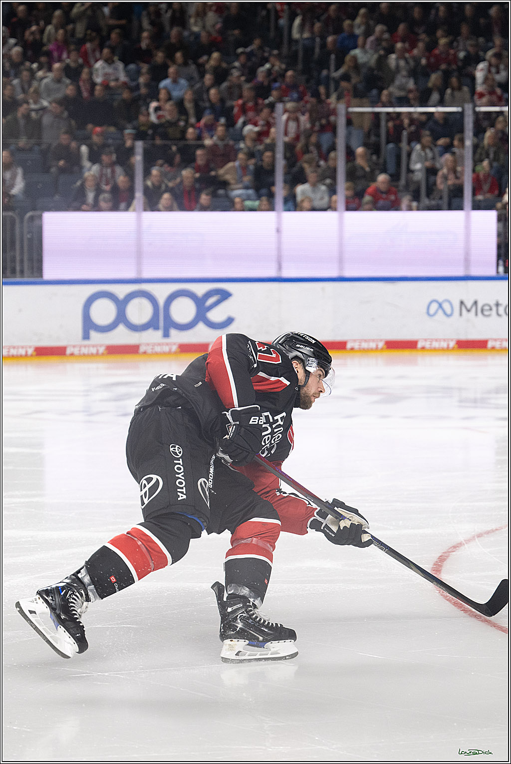 PENNY DEL; Koelner Haie-ERC Ingolstadt; Koeln, 22.11.2024