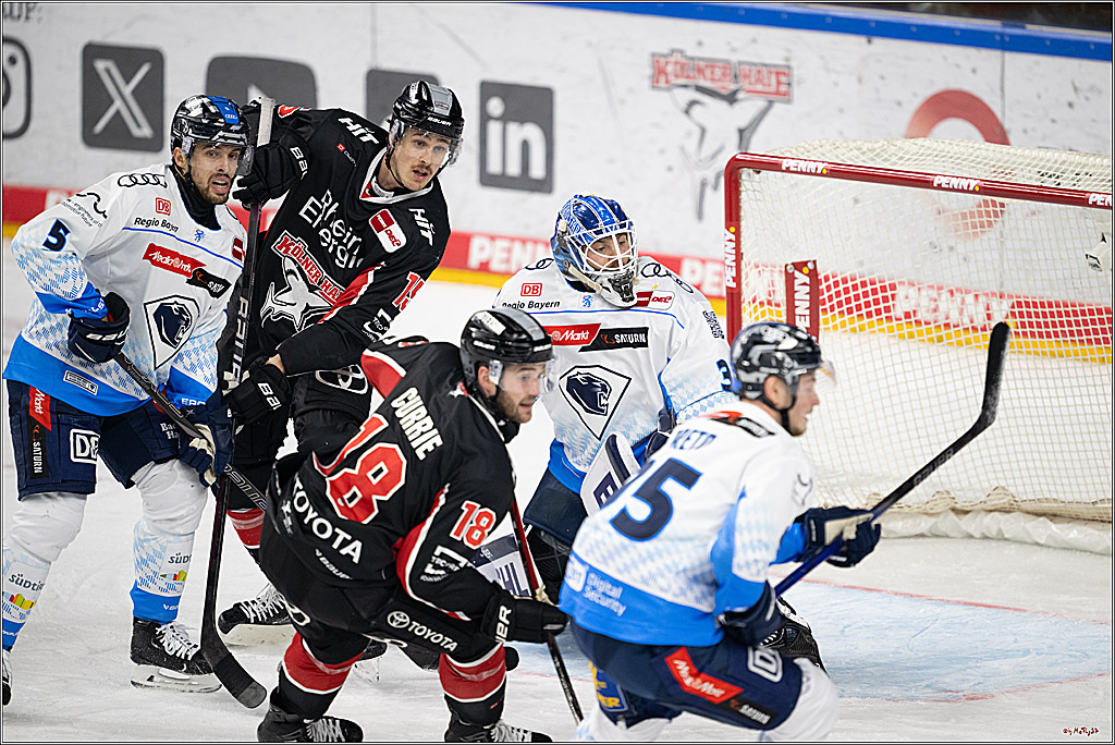PENNY DEL 1; Kölner Haie - ERC Ingolstadt; Köln, 22.11.2024