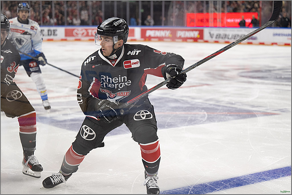 PENNY DEL; Koelner Haie-ERC Ingolstadt; Koeln, 22.11.2024