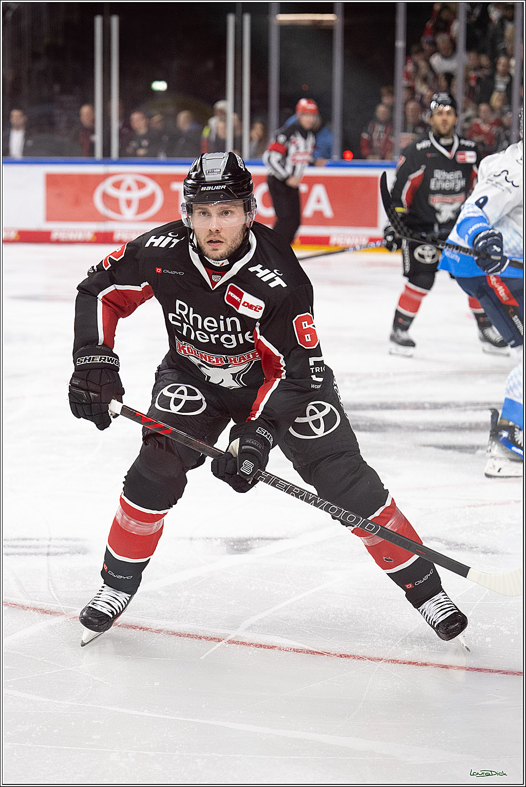 PENNY DEL; Koelner Haie-ERC Ingolstadt; Koeln, 22.11.2024
