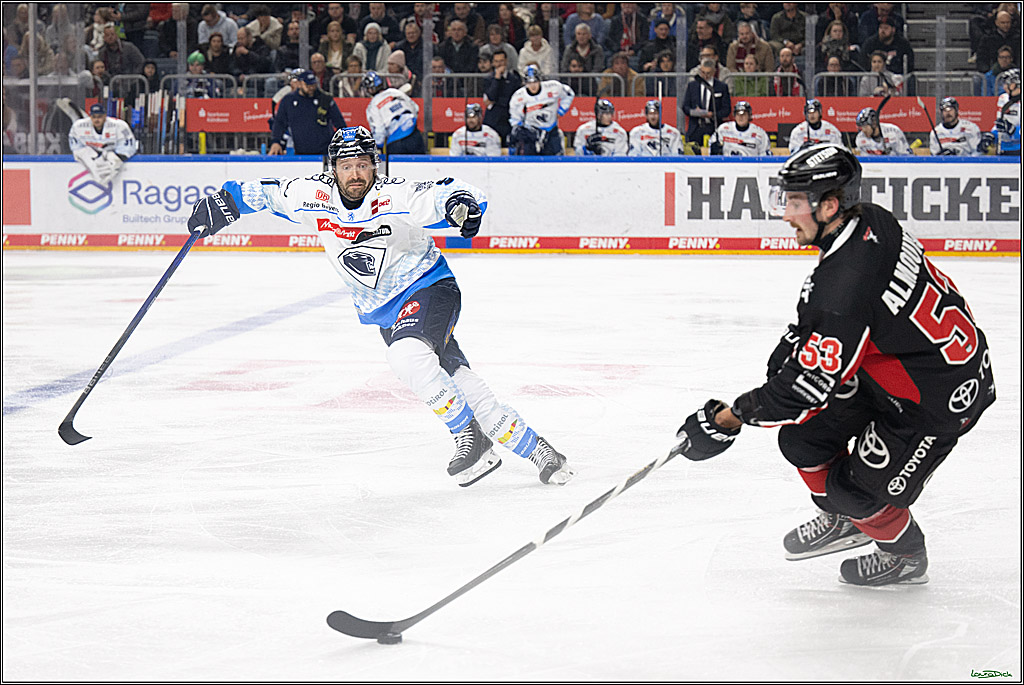 PENNY DEL; Koelner Haie-ERC Ingolstadt; Koeln, 22.11.2024
