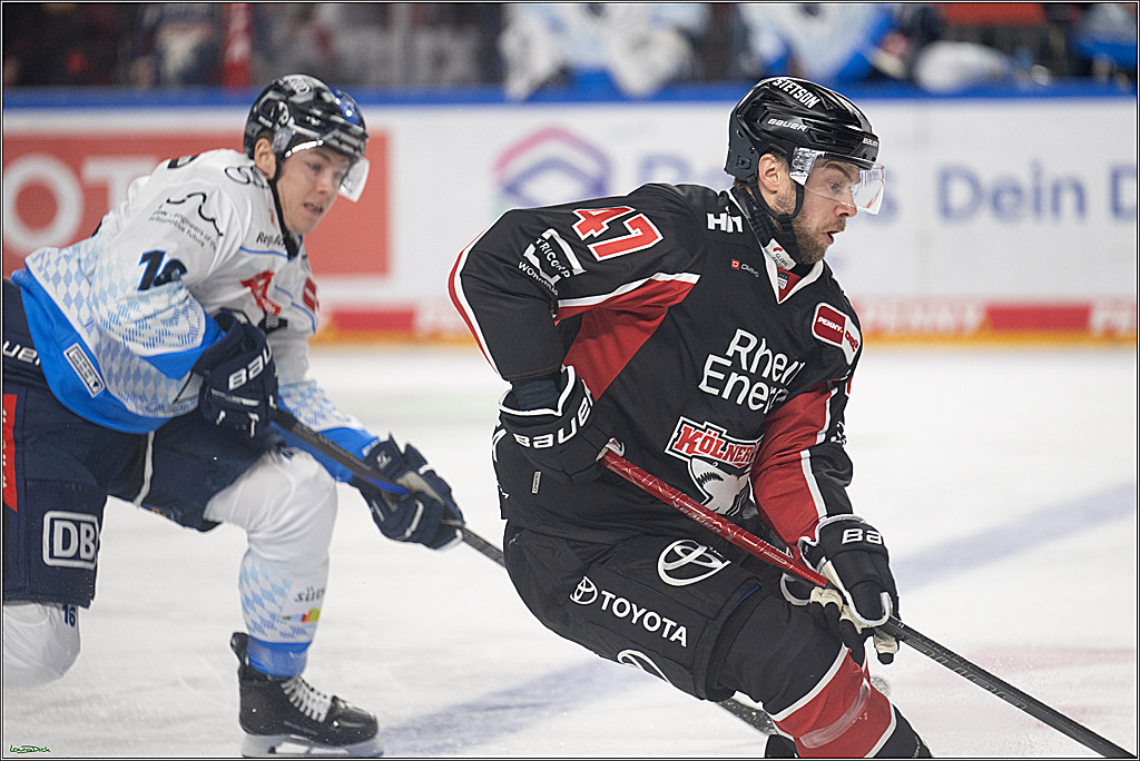 PENNY DEL; Koelner Haie-ERC Ingolstadt; Koeln, 22.11.2024