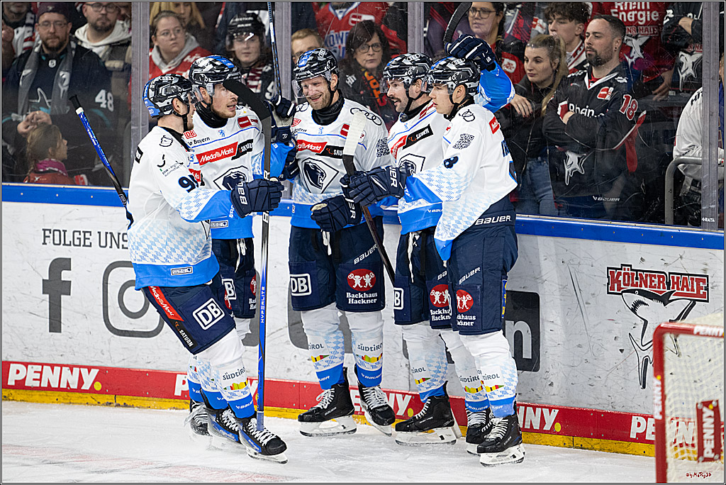 PENNY DEL 1; Kölner Haie - ERC Ingolstadt; Köln, 22.11.2024