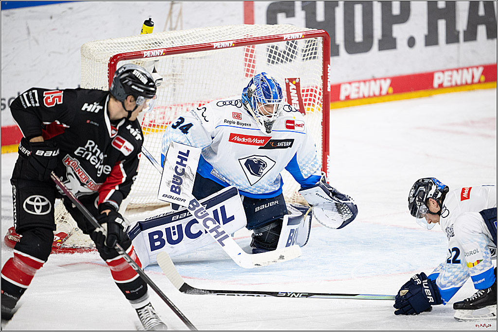 PENNY DEL 1; Kölner Haie - ERC Ingolstadt; Köln, 22.11.2024