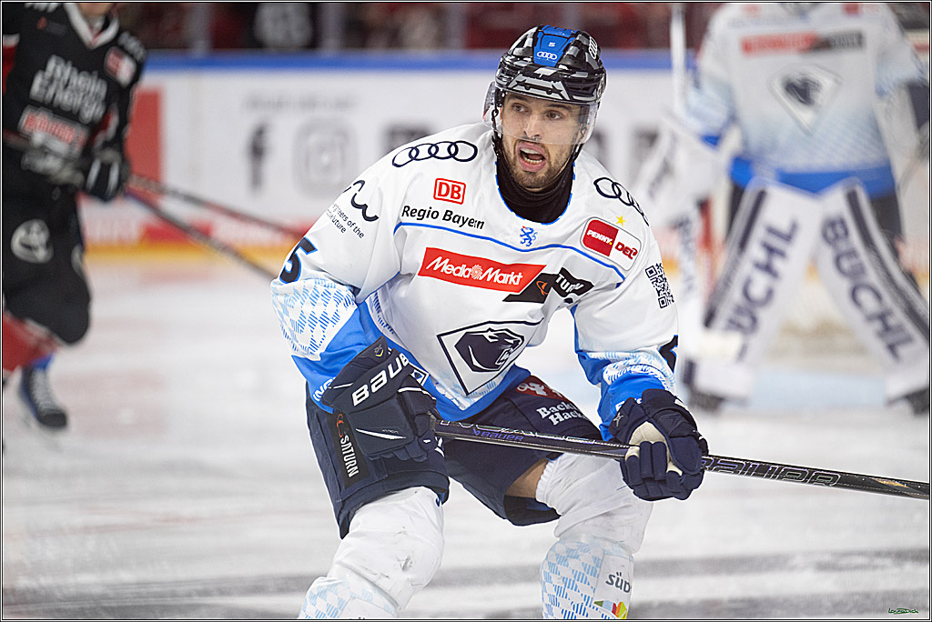 PENNY DEL; Koelner Haie-ERC Ingolstadt; Koeln, 22.11.2024