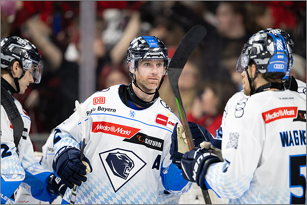 PENNY DEL 1; Kölner Haie - ERC Ingolstadt; Köln, 22.11.2024