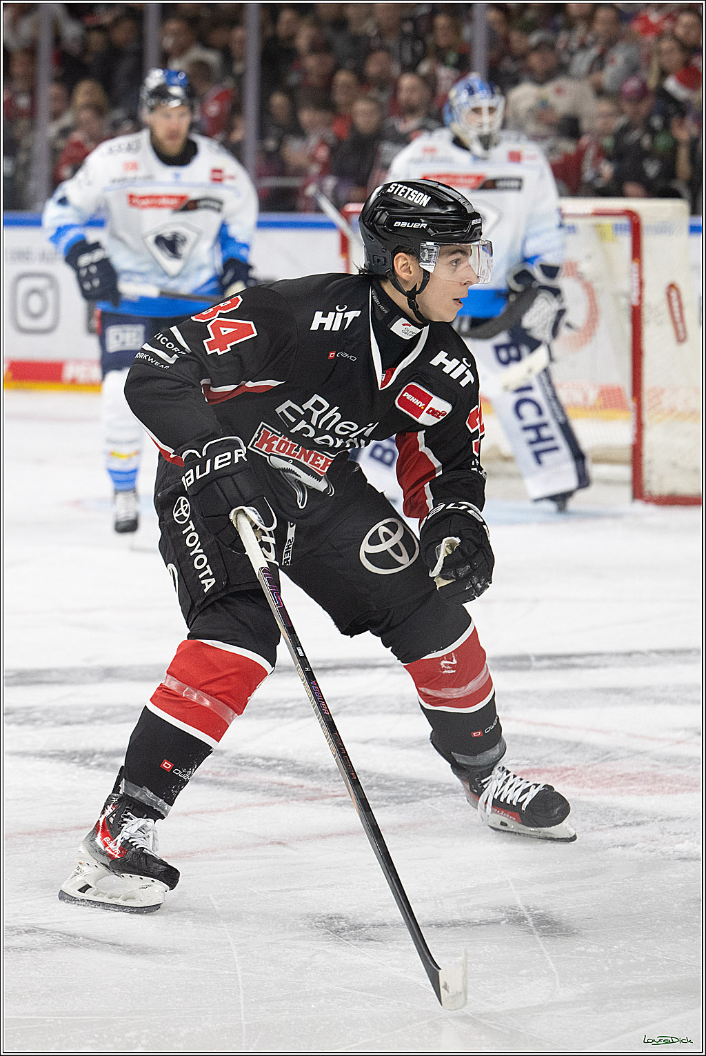 PENNY DEL; Koelner Haie-ERC Ingolstadt; Koeln, 22.11.2024