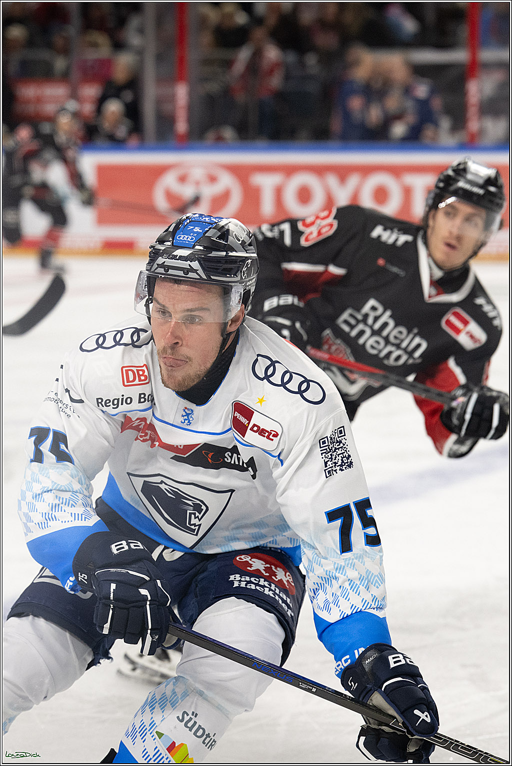 PENNY DEL; Koelner Haie-ERC Ingolstadt; Koeln, 22.11.2024