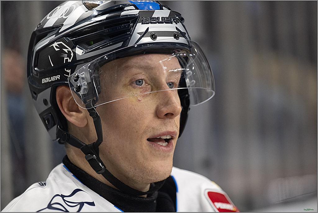 PENNY DEL; Koelner Haie-ERC Ingolstadt; Koeln, 22.11.2024