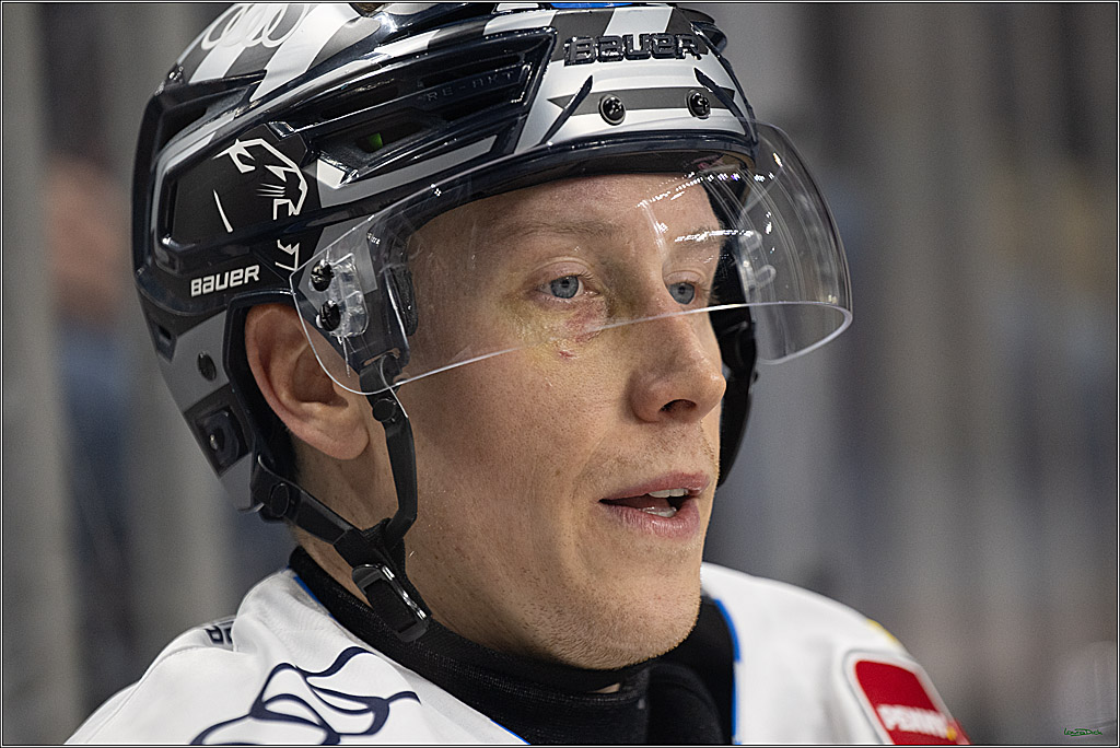 PENNY DEL; Koelner Haie-ERC Ingolstadt; Koeln, 22.11.2024