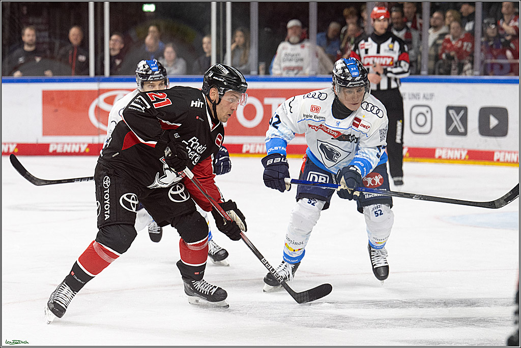PENNY DEL; Koelner Haie-ERC Ingolstadt; Koeln, 22.11.2024