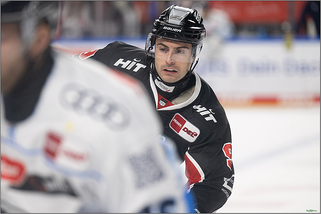 PENNY DEL; Koelner Haie-ERC Ingolstadt; Koeln, 22.11.2024