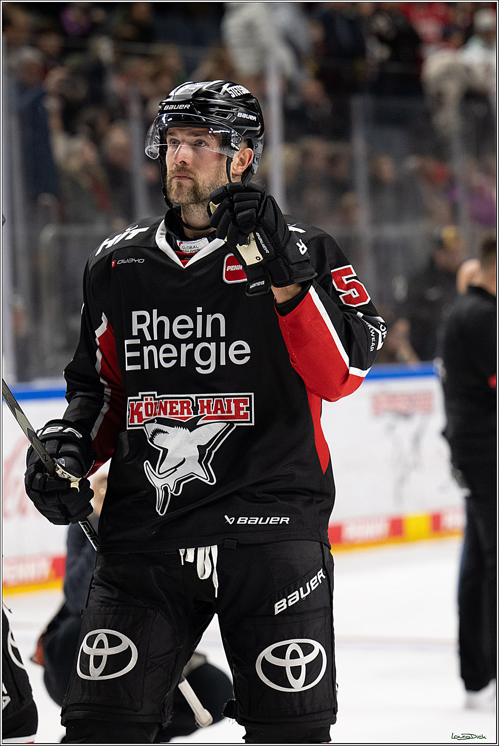PENNY DEL; Koelner Haie-ERC Ingolstadt; Koeln, 22.11.2024