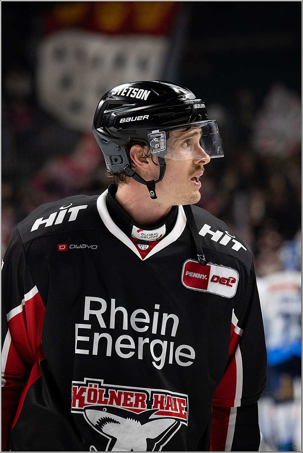 PENNY DEL; Koelner Haie-ERC Ingolstadt; Koeln, 22.11.2024