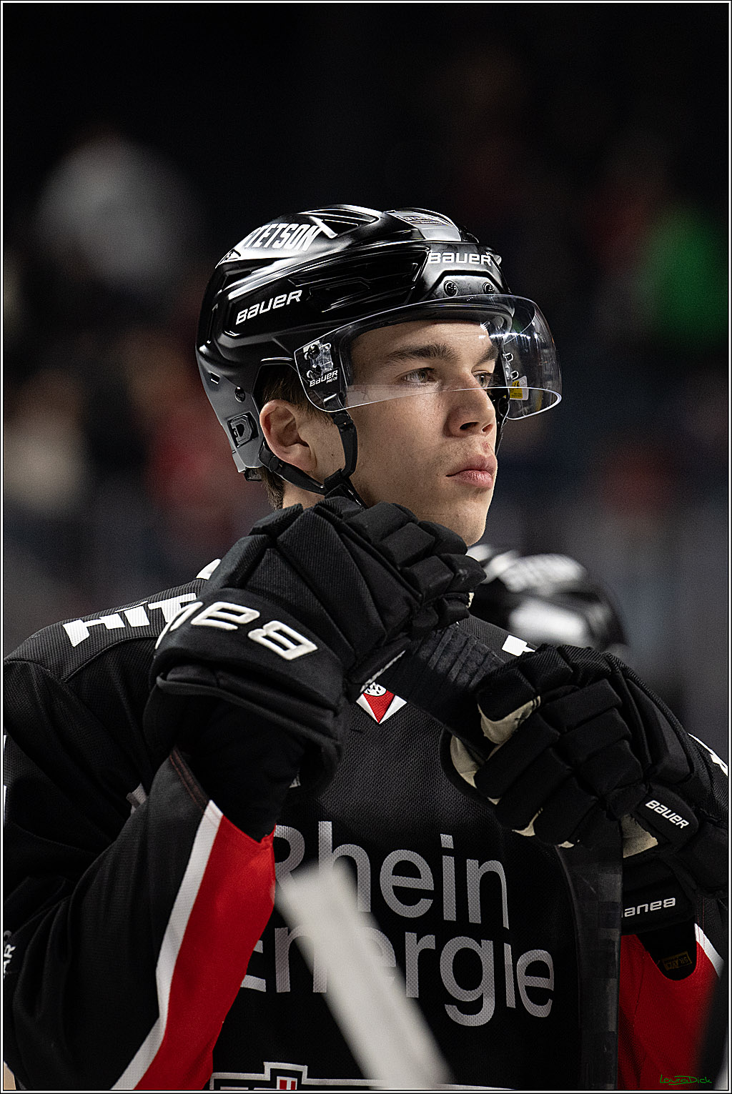 PENNY DEL; Koelner Haie-ERC Ingolstadt; Koeln, 22.11.2024