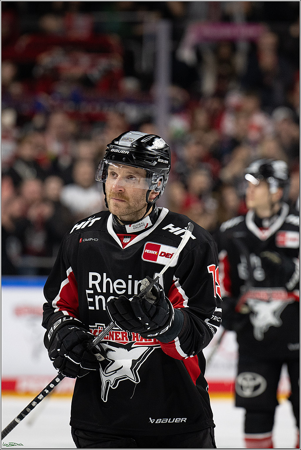 PENNY DEL; Koelner Haie-ERC Ingolstadt; Koeln, 22.11.2024