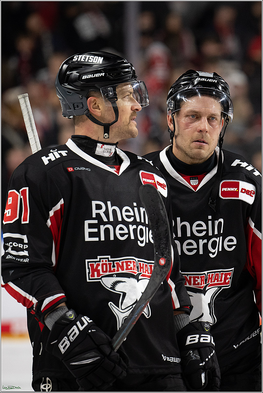 PENNY DEL; Koelner Haie-ERC Ingolstadt; Koeln, 22.11.2024
