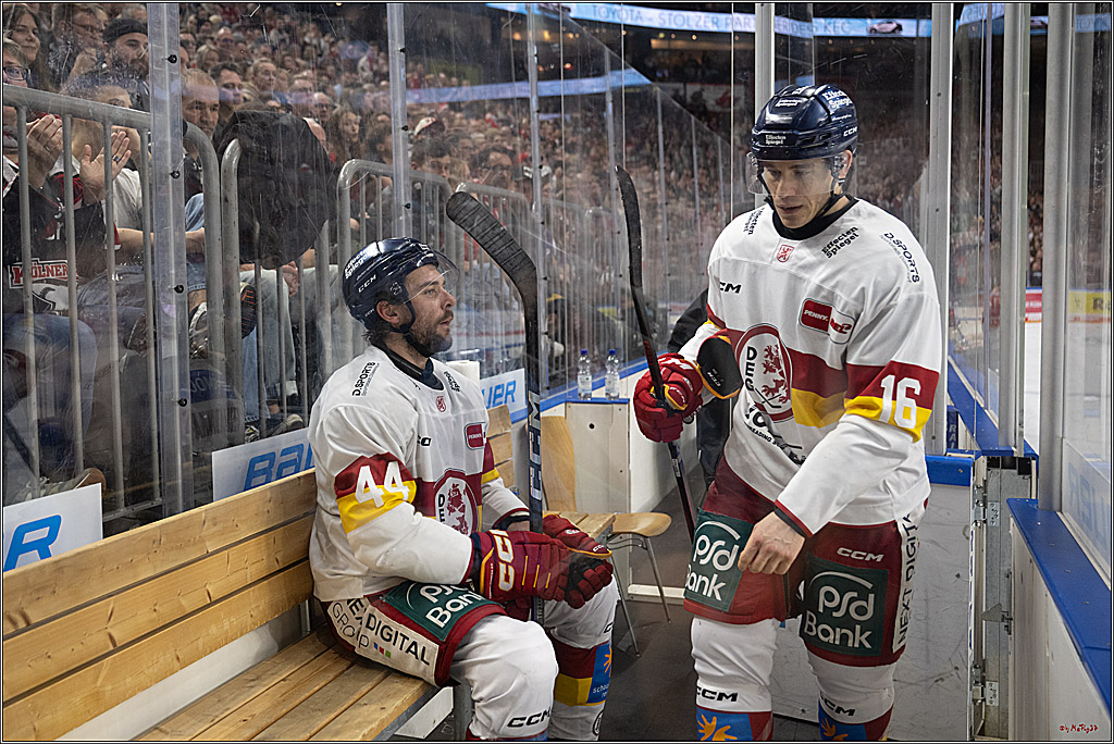 PENNY DEL 1; Kölner Haie - Düsseldorfer EG ; Köln, 24.11.2024