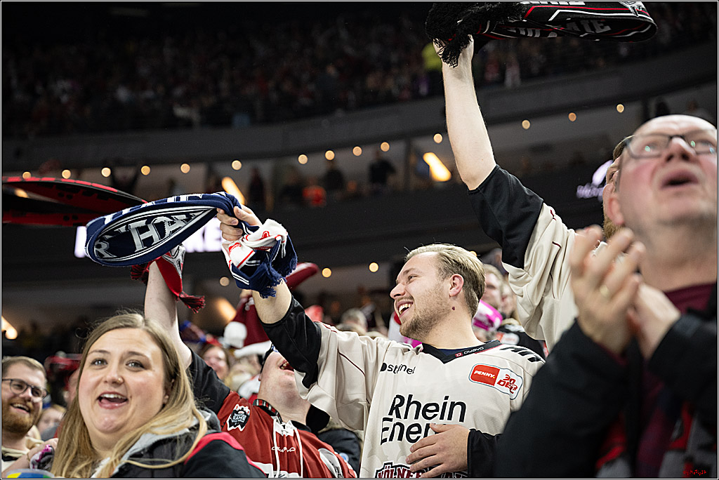 PENNY DEL 1; Kölner Haie - Düsseldorfer EG ; Köln, 24.11.2024