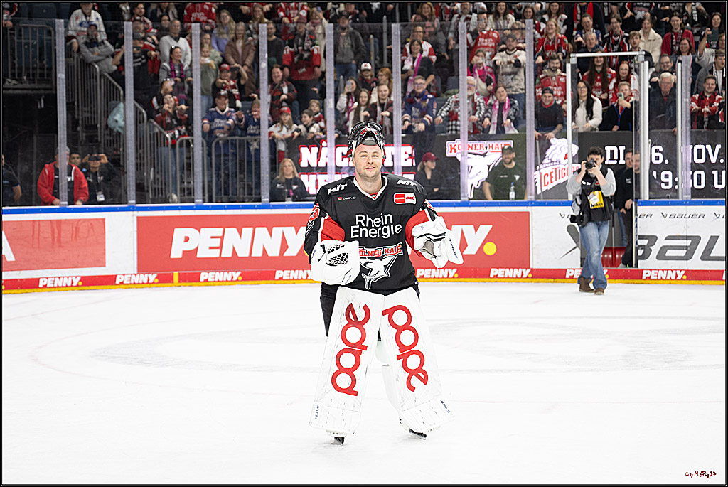PENNY DEL 1; Kölner Haie - Düsseldorfer EG ; Köln, 24.11.2024