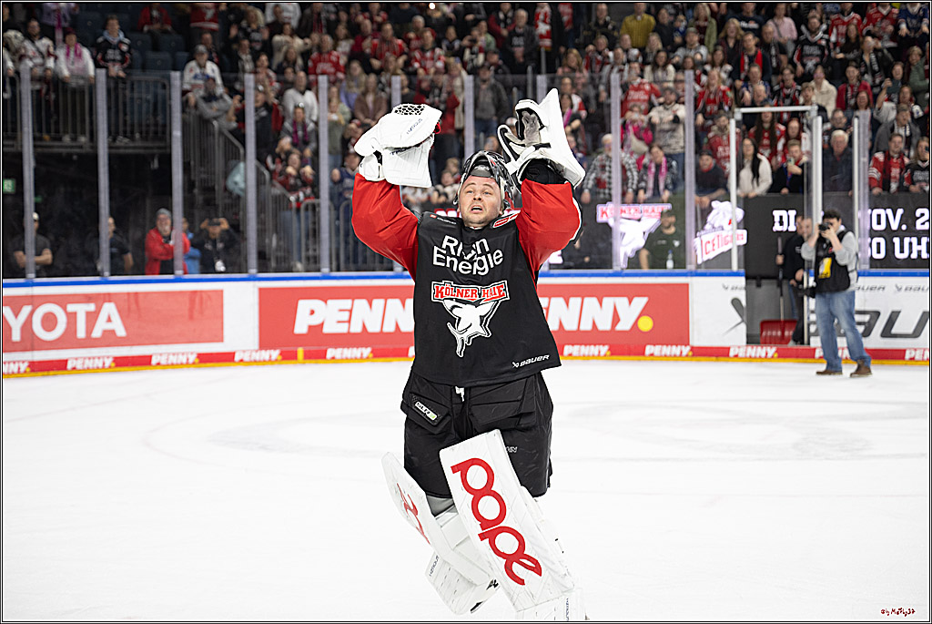 PENNY DEL 1; Kölner Haie - Düsseldorfer EG ; Köln, 24.11.2024