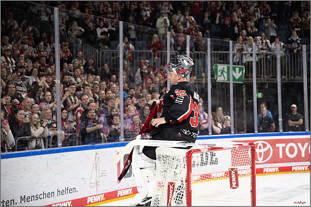 PENNY DEL 1; Kölner Haie - Düsseldorfer EG ; Köln, 24.11.2024