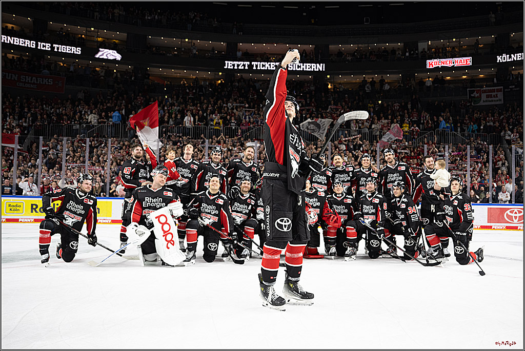 PENNY DEL 1; Kölner Haie - Düsseldorfer EG ; Köln, 24.11.2024