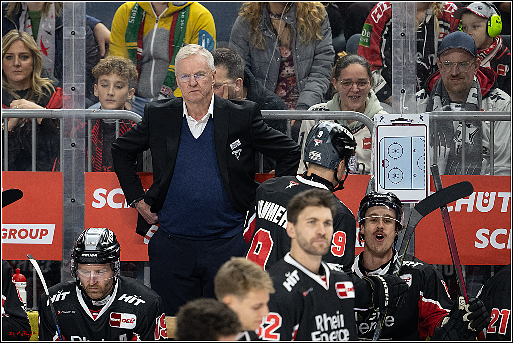 PENNY DEL 1; Kölner Haie - Düsseldorfer EG ; Köln, 24.11.2024