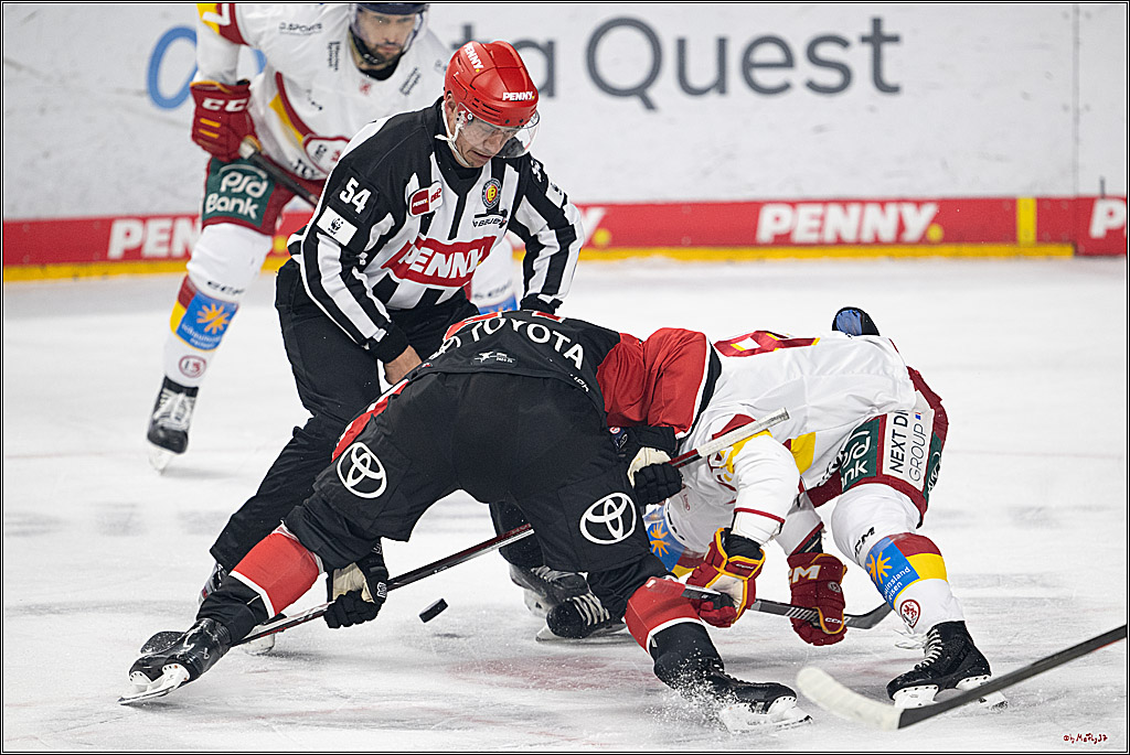 PENNY DEL 1; Kölner Haie - Düsseldorfer EG ; Köln, 24.11.2024