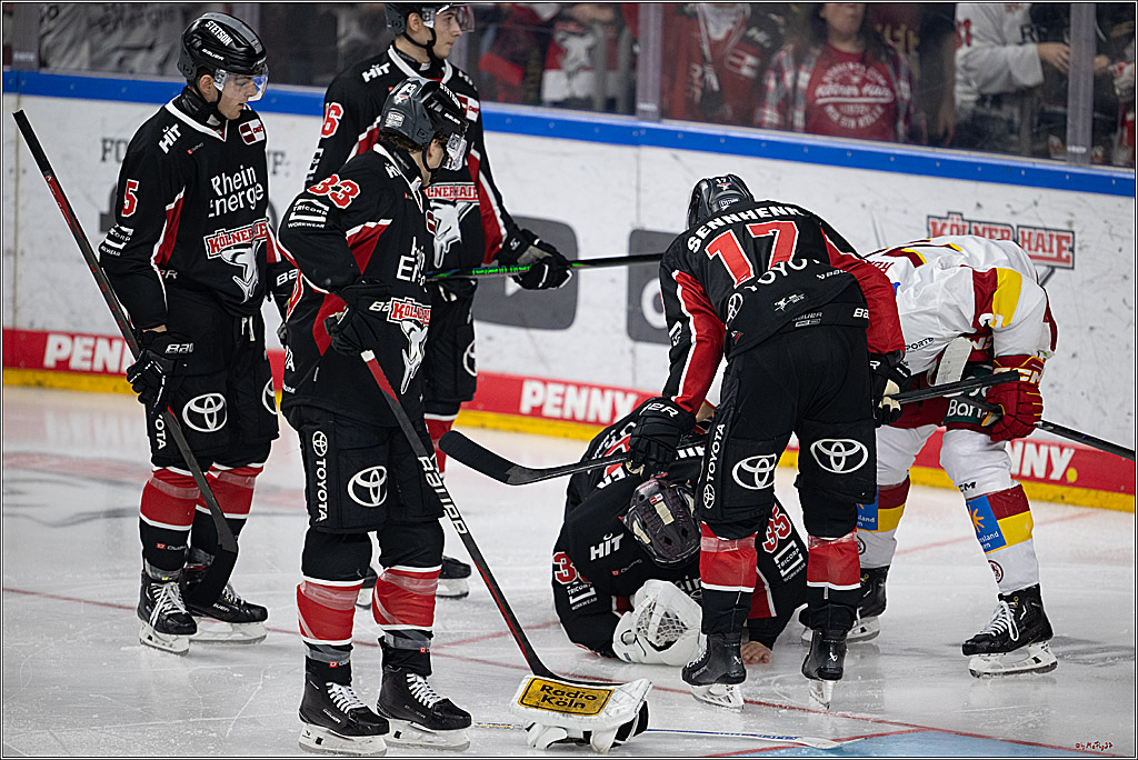 PENNY DEL 1; Kölner Haie - Düsseldorfer EG ; Köln, 24.11.2024