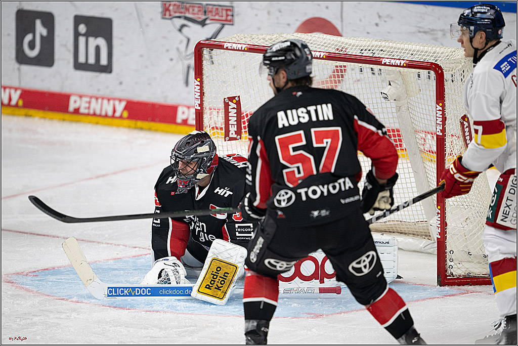 PENNY DEL 1; Kölner Haie - Düsseldorfer EG ; Köln, 24.11.2024