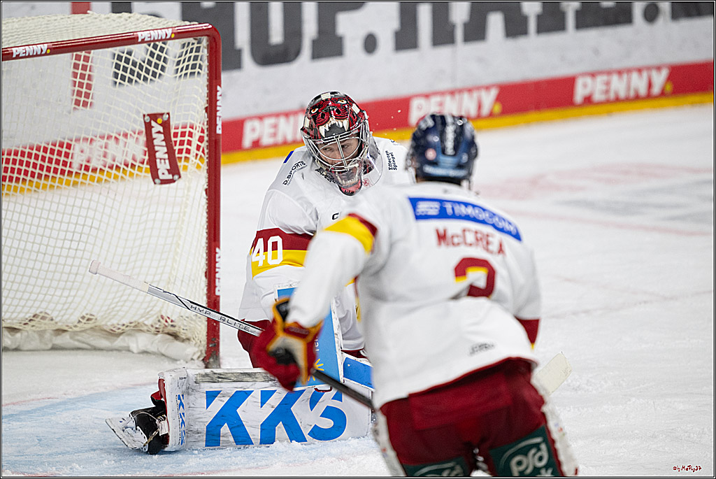 PENNY DEL 1; Kölner Haie - Düsseldorfer EG ; Köln, 24.11.2024