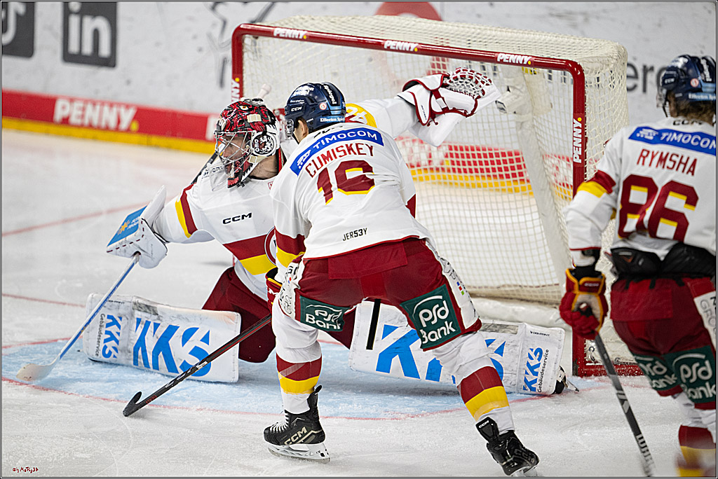 PENNY DEL 1; Kölner Haie - Düsseldorfer EG ; Köln, 24.11.2024
