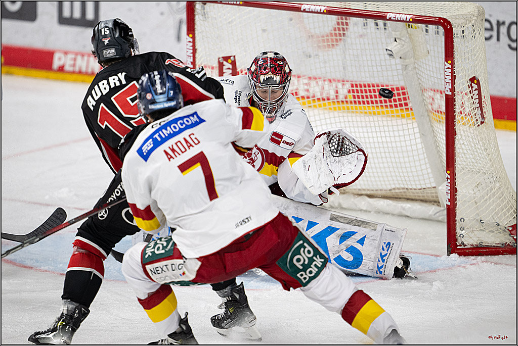 PENNY DEL 1; Kölner Haie - Düsseldorfer EG ; Köln, 24.11.2024