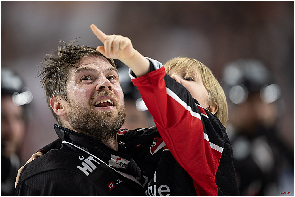 PENNY DEL 1; Kölner Haie - Düsseldorfer EG ; Köln, 24.11.2024