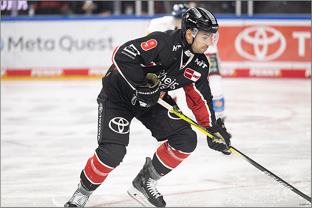 PENNY DEL; Koelner Haie-Duesseldorfer EG; Koeln, 24.11.2024