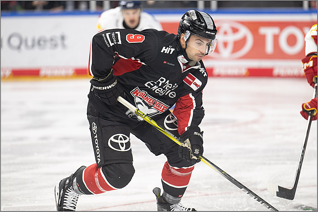 PENNY DEL; Koelner Haie-Duesseldorfer EG; Koeln, 24.11.2024