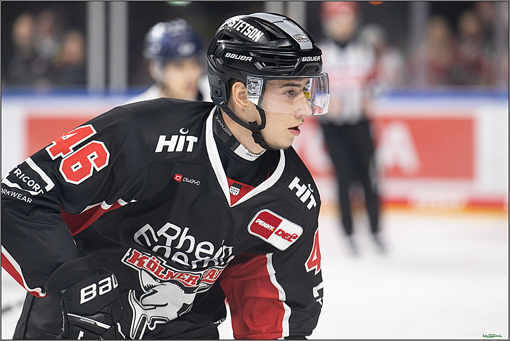 PENNY DEL; Koelner Haie-Duesseldorfer EG; Koeln, 24.11.2024