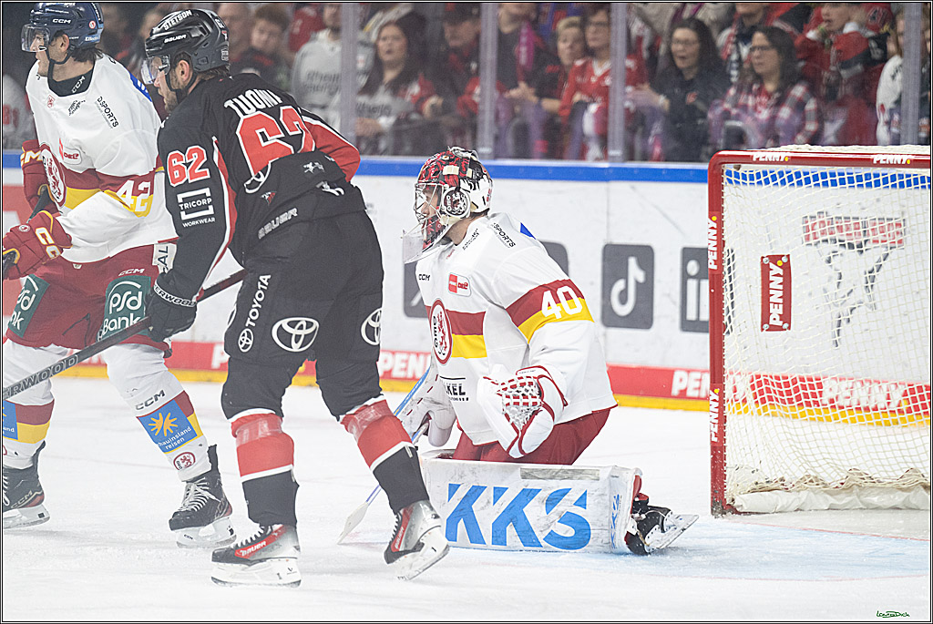 PENNY DEL; Koelner Haie-Duesseldorfer EG; Koeln, 24.11.2024