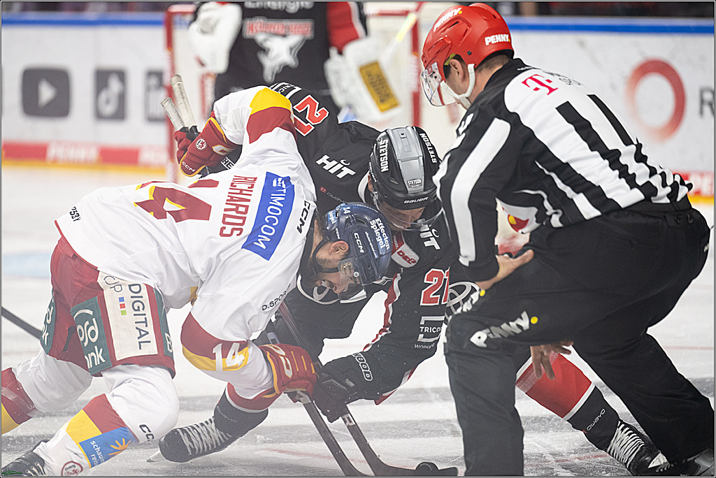 PENNY DEL; Koelner Haie-Duesseldorfer EG; Koeln, 24.11.2024