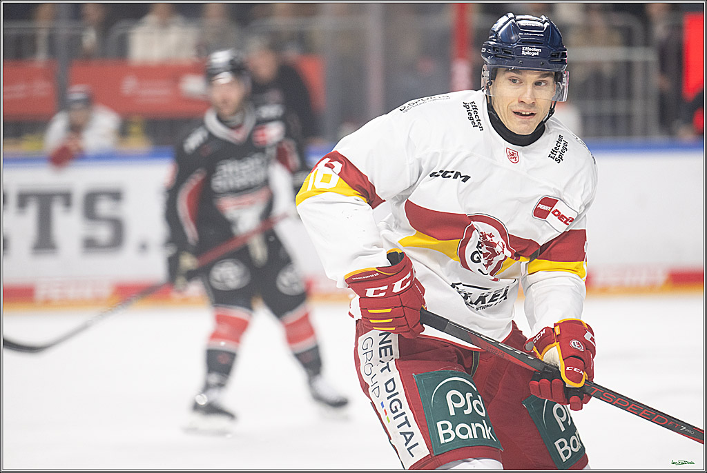 PENNY DEL; Koelner Haie-Duesseldorfer EG; Koeln, 24.11.2024
