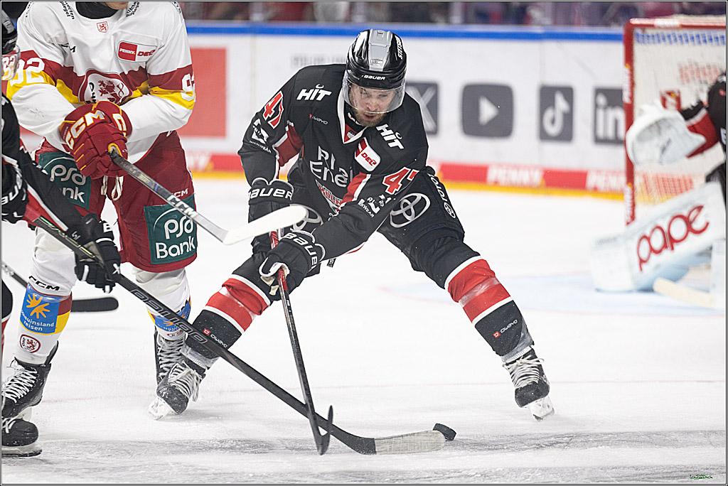 PENNY DEL; Koelner Haie-Duesseldorfer EG; Koeln, 24.11.2024