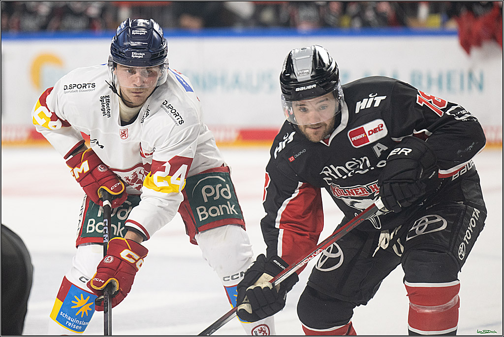 PENNY DEL; Koelner Haie-Duesseldorfer EG; Koeln, 24.11.2024
