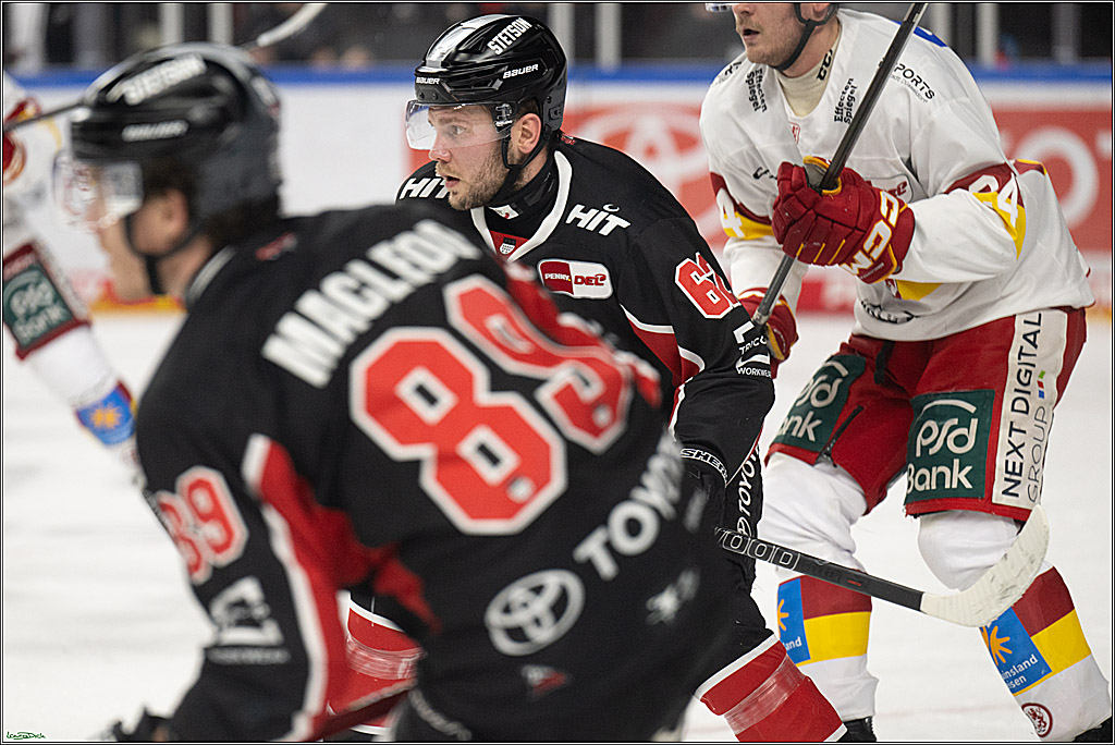 PENNY DEL; Koelner Haie-Duesseldorfer EG; Koeln, 24.11.2024