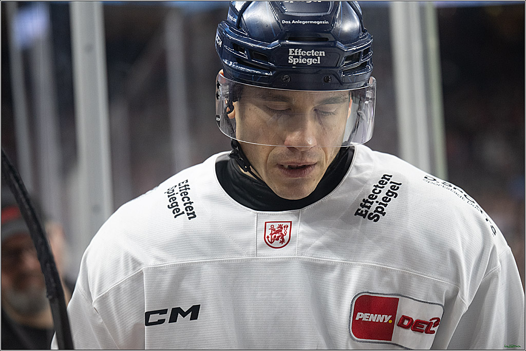 PENNY DEL; Koelner Haie-Duesseldorfer EG; Koeln, 24.11.2024