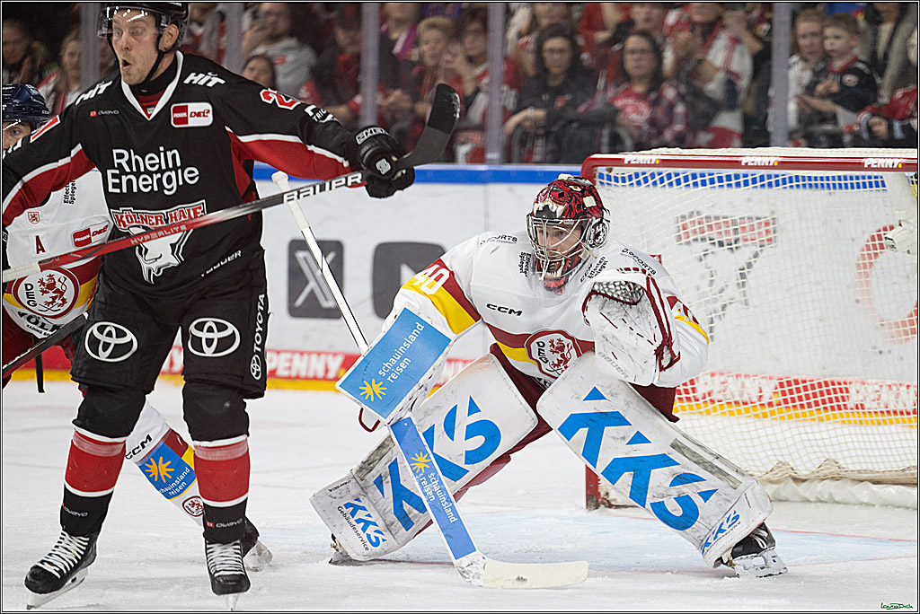 PENNY DEL; Koelner Haie-Duesseldorfer EG; Koeln, 24.11.2024